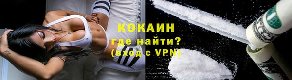 прущие грибы Сясьстрой