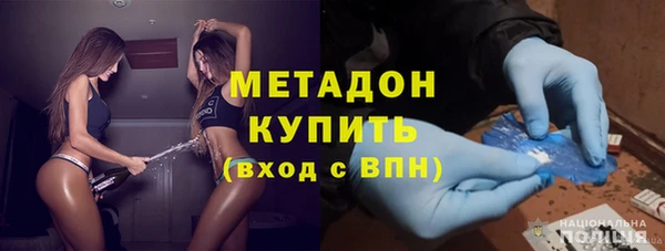 прущие грибы Сясьстрой