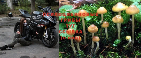 марихуана Дмитров