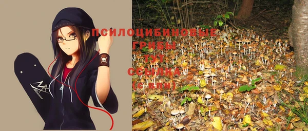 стафф Дмитриев