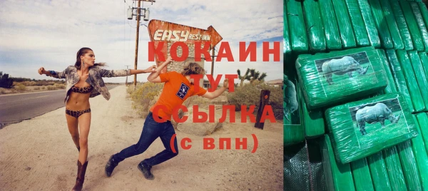 стафф Дмитриев