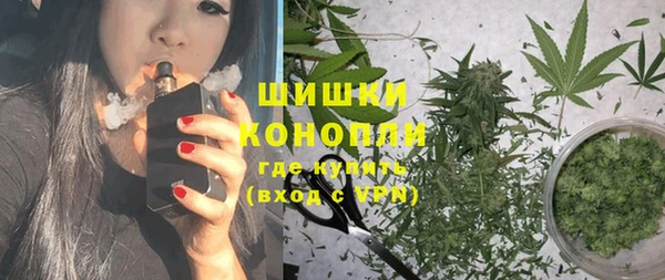прущие грибы Сясьстрой