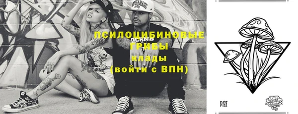 стафф Дмитриев