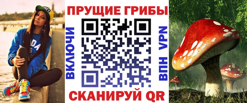 Псилоцибиновые грибы прущие грибы  Купить закладки  Надым 